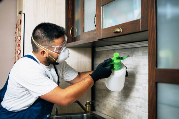 Best Pest Prevention Services  in Jasper, FL
