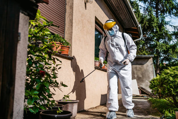 Best Cockroach Control Services  in Jasper, FL