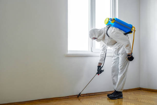 Best Commercial Pest Control Services  in Jasper, FL
