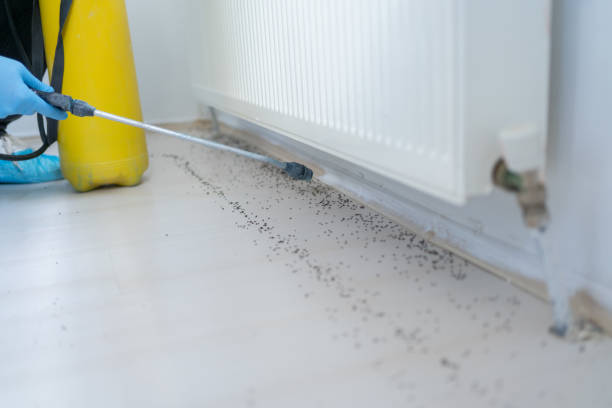 Best Wildlife Control Services  in Jasper, FL