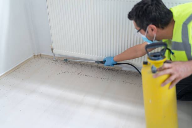 Best Flea Control Services  in Jasper, FL